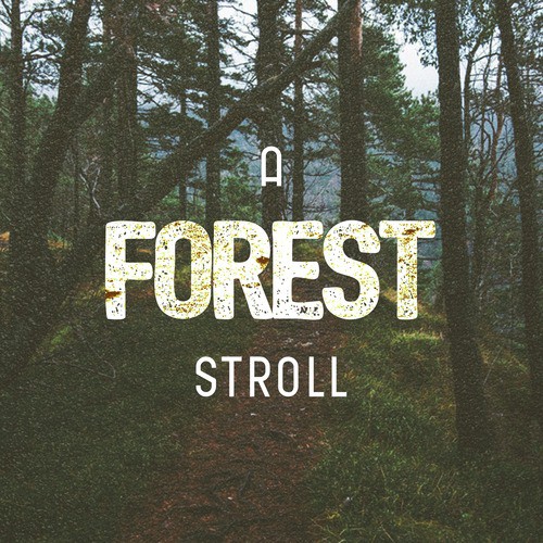 A Forest Stroll