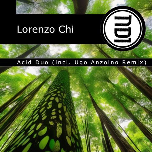 DdicA (Ugo Anzoino Remix) cover art