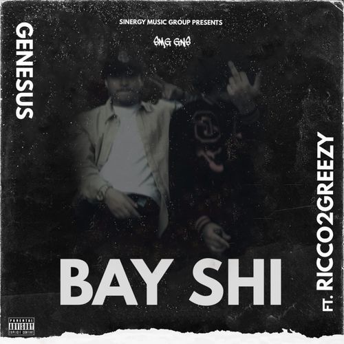 BAY SHI cover art