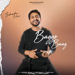 Baggo Baag