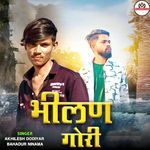 Bhilan Gori Non Stop