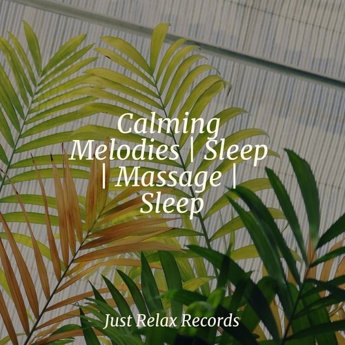 Calming Melodies | Sleep | Massage | Sleep