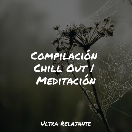 Compilación Chill Out | Meditación