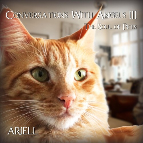 Conversations with Angels III: The Soul of Pets