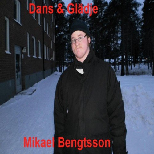 Nskebrunnen cover art