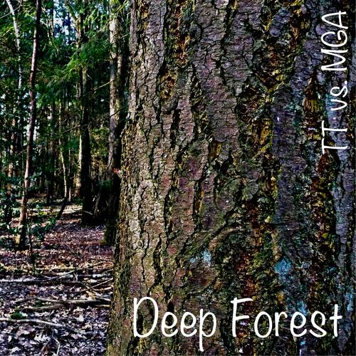 Deep Forest