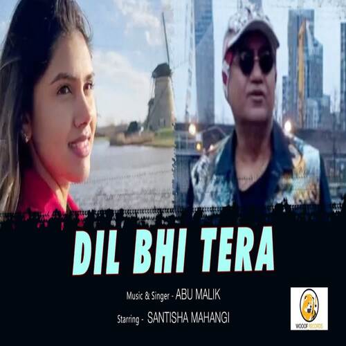 Dil Bhi Tera