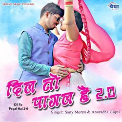 Dil To Pagal Hai 2-0