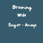 Dreaming Wide