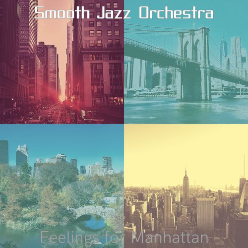 Calm New York City cover art