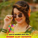 Gadi ka nambar likha degi