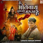 He Bholenath Muze Teri Jarurat Hai