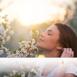 Thérapie Chamanique de la Terre