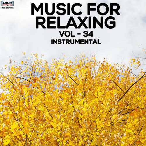 Music For Relaxing Vol 34