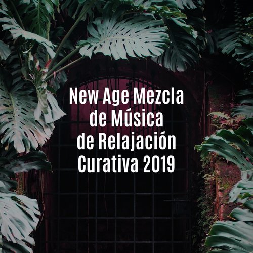Musica de Relajacion cover art