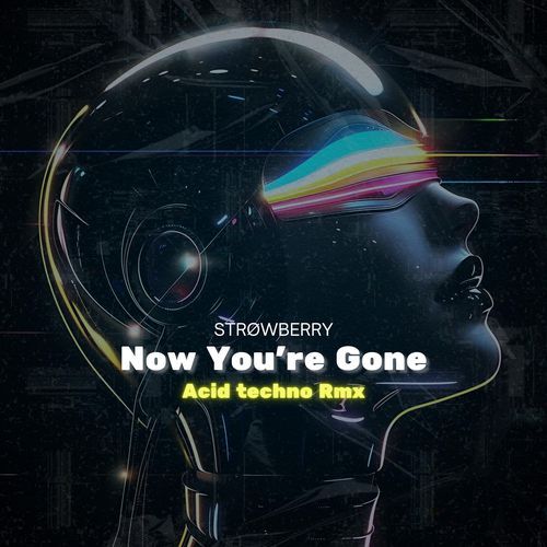 Now You're Gone (Acid Techno Speed Up)