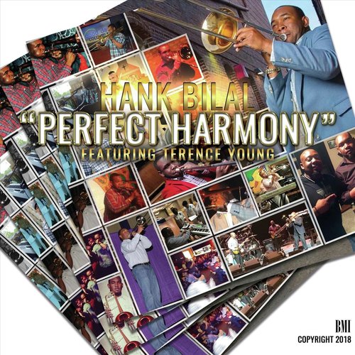 Perfect Harmony (feat. Terence Young)_poster_image