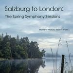 Symphony No. 41 in C Major, K. 551 "Jupiter"- I. Allegro vivace
