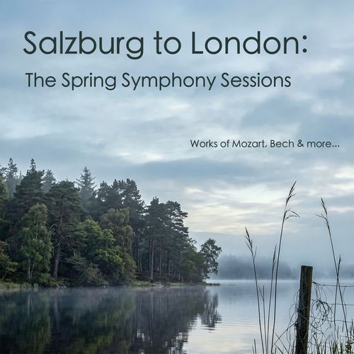 Symphony No. 17 in G Major, K. 129- I. Allegro cover art