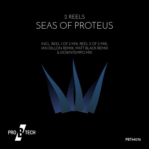 Seas Of Proteus (Ian Dillon Remix)