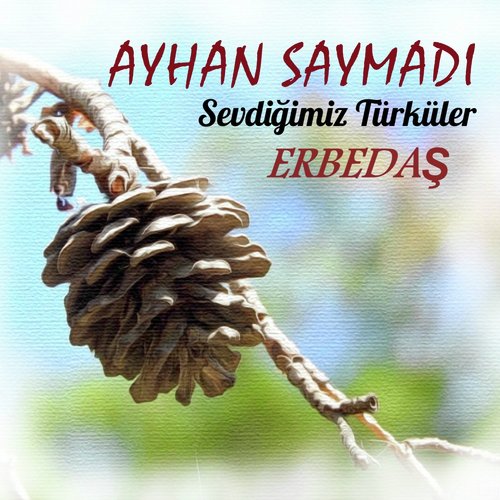 Sevdiğimiz Türküler (Erbedaş) cover art