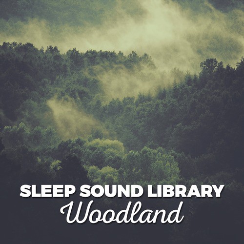 Sleep Sound Library: Woodland