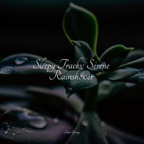 Rain, Storm and Thunder cover art