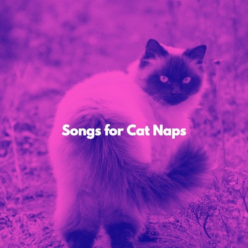 Marvellous Feeling Lonely in the City cover art