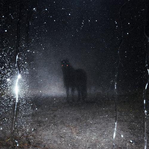Turisti (feat. Turisti) cover art