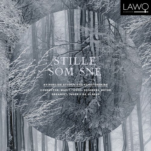 Stille som sne_poster_image