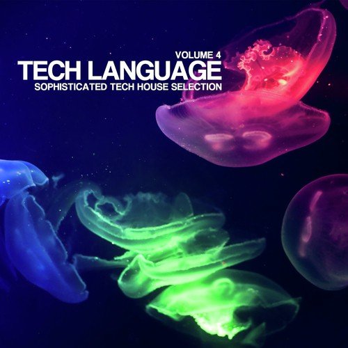 Tech Language, Vol. 4 (Sophisticated Tech House Selection)