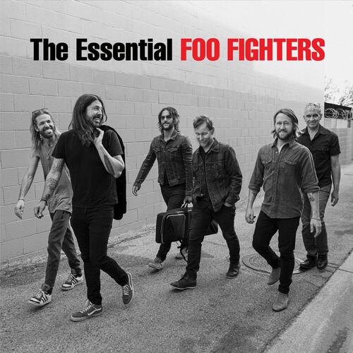 Foo Fighters - My Hero  There goes my hero, Hero songs, Music words