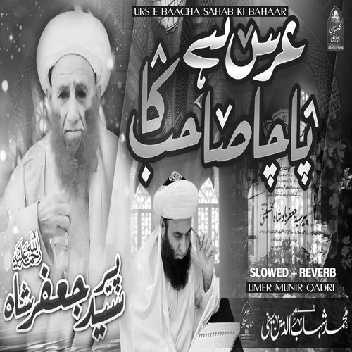 Urs E Baacha Sahab Ki Bahaar (Lofi-Mix)