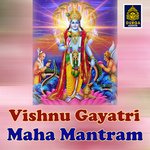 Vishnu Gayatri Maha Mantram