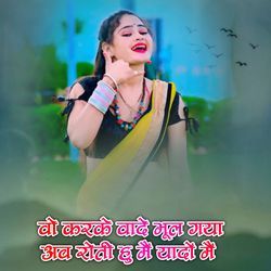 Vo Karke Vade Bhul Gaya Ab Roti Hu Me Yado Me