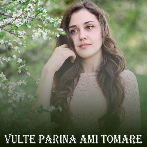 Vulte Parina Ami Tomare