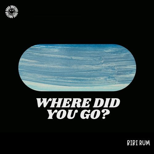 Where Did You Go? (House)