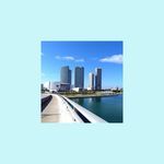 twilight patterns moonrise