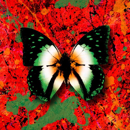 2step (feat. Denise Chaila) cover art