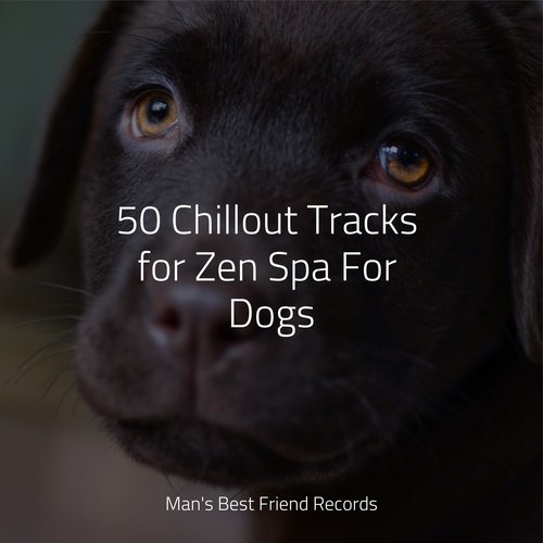 50 Chillout Tracks for Zen Spa For Dogs_poster_image