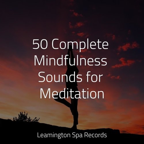 50 Complete Mindfulness Sounds for Meditation