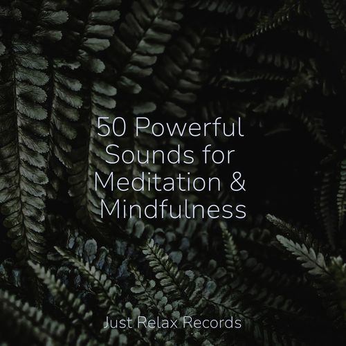 50 Powerful Sounds for Meditation & Mindfulness