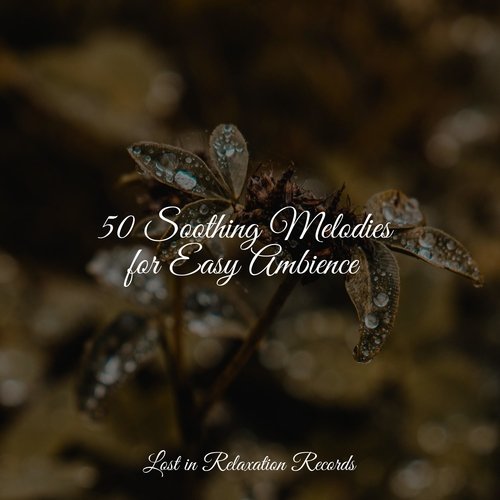 50 Soothing Melodies for Easy Ambience_poster_image