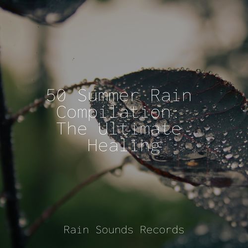 50 Summer Rain Compilation: The Ultimate Healing