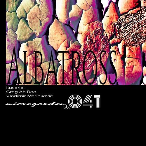 Albatross (Vladimir Marinkovic Remix) cover art