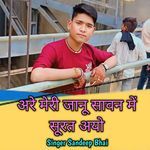 Are Meri Janu Savan Me Surat Aayo