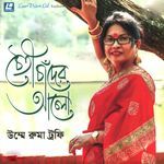 Nohe Nohe Priyo E Noi Akhi jol