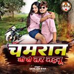 Chamran Ji Se Tar Jaibu