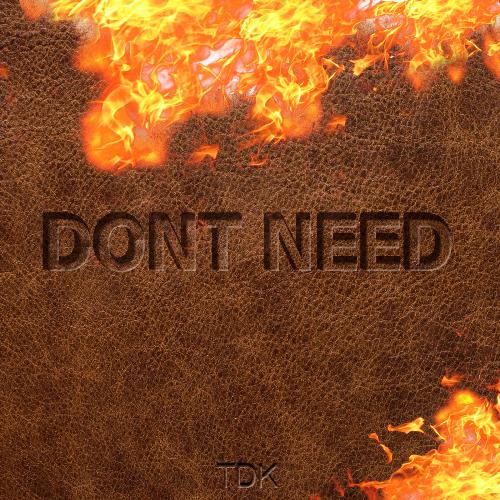 Don&#039;t Need_poster_image