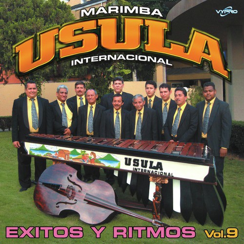 Exitos y Ritmos Vol. 9_poster_image